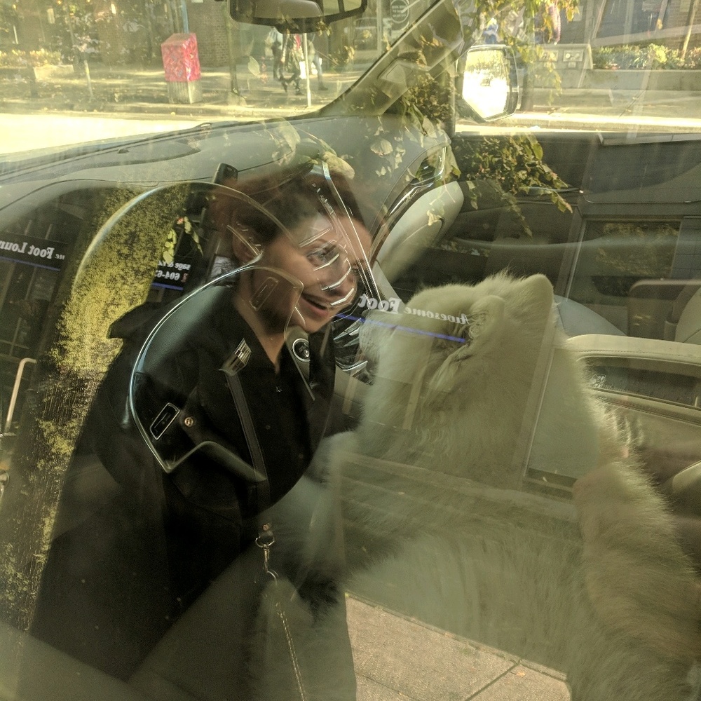 Meet your Posher, Samantha